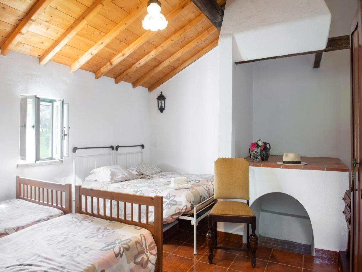 House With Authentic Tiling And Antique Furniture Βίλα Montemor-o-Novo Εξωτερικό φωτογραφία