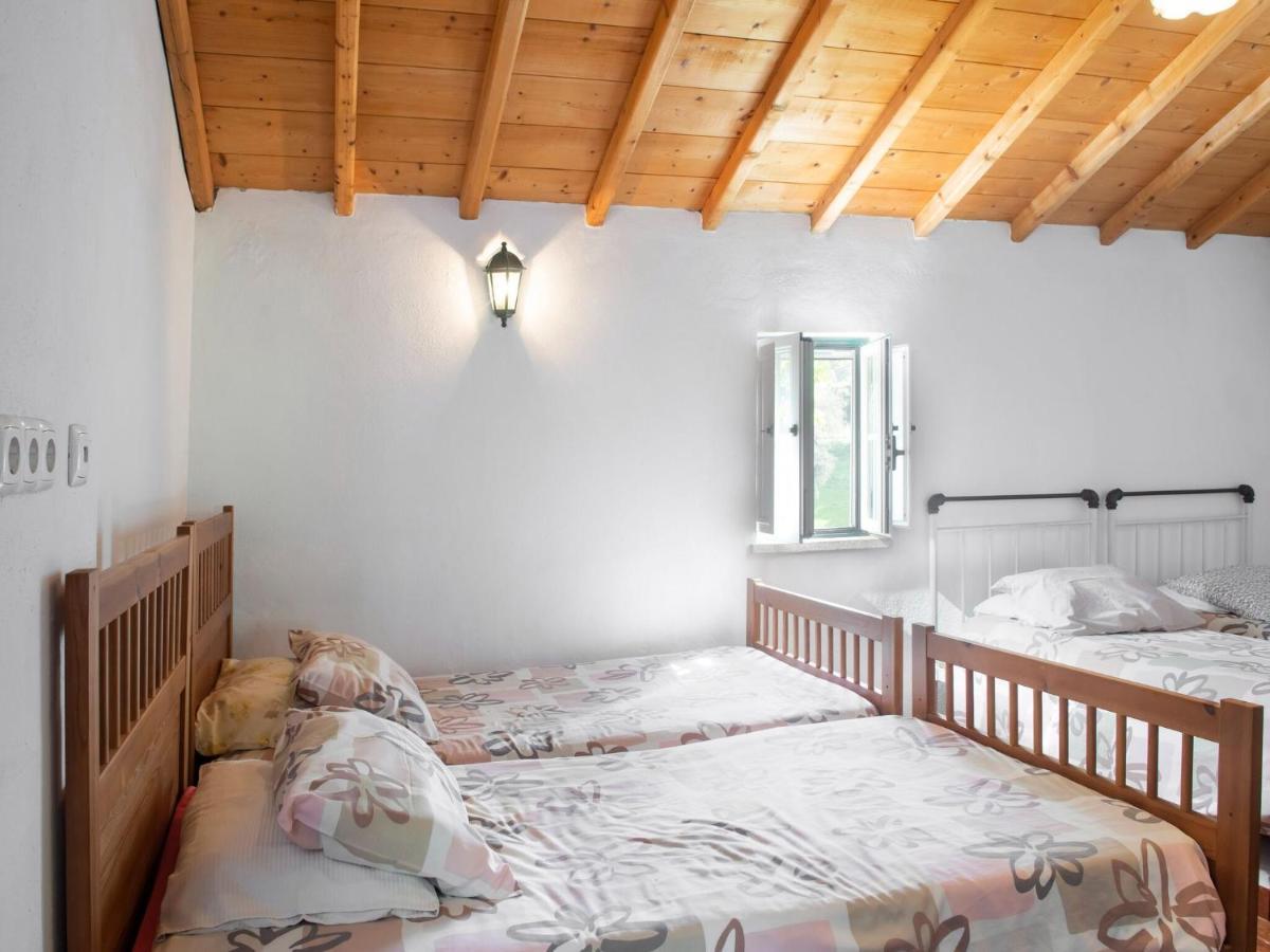 House With Authentic Tiling And Antique Furniture Βίλα Montemor-o-Novo Εξωτερικό φωτογραφία