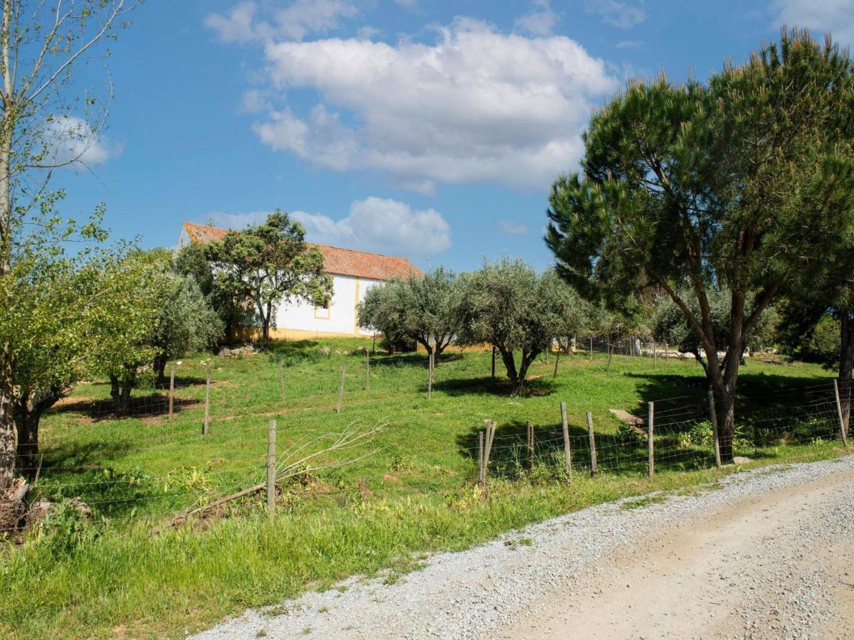 House With Authentic Tiling And Antique Furniture Βίλα Montemor-o-Novo Εξωτερικό φωτογραφία